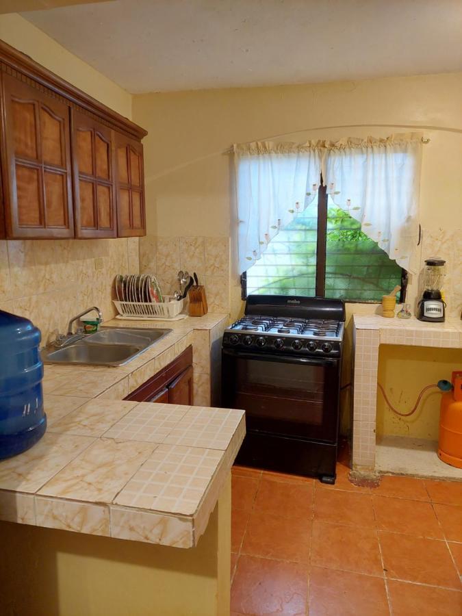 Complejo Villa Las Palmeras Piscina, Billar, Jardin, Bbq @Drvacationsrental Samana 外观 照片